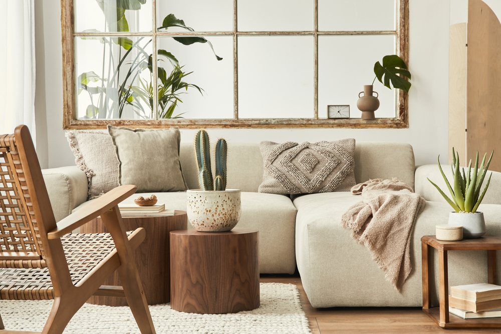 A house with a couch, wood chair, and cactus in a soft, contemporary design